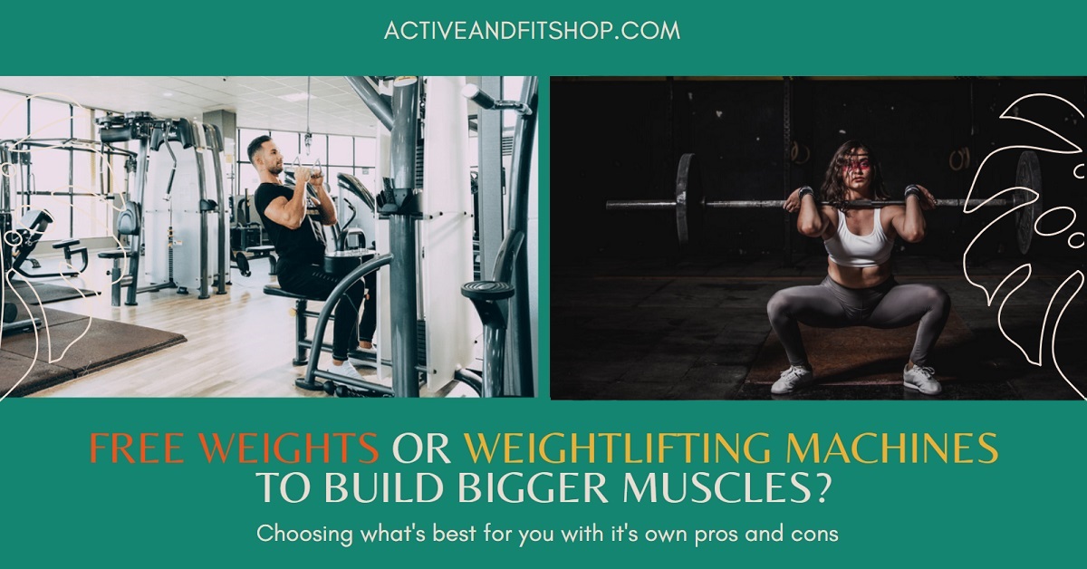 Free Weights Or Weightlifting Machines To Build Bigger Muscles