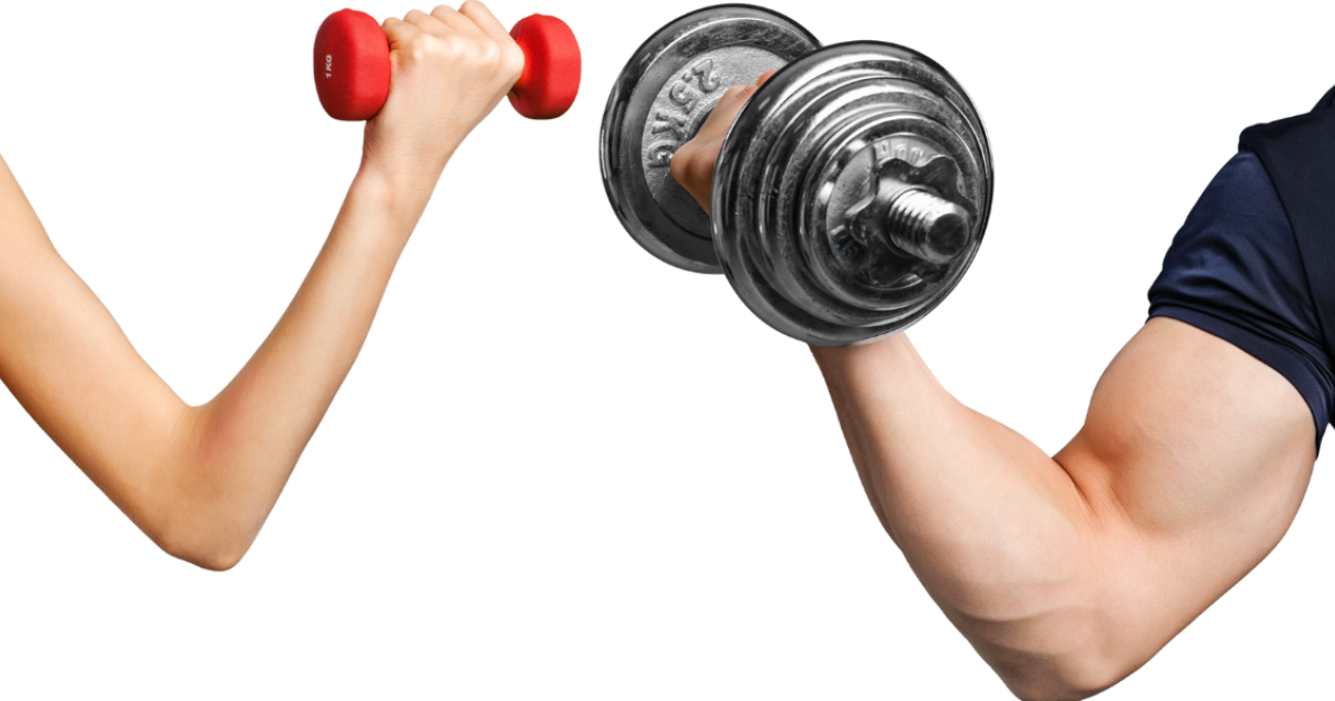 Top 10 Arm Exercises to Sculpt, Strengthen & Tone Muscles